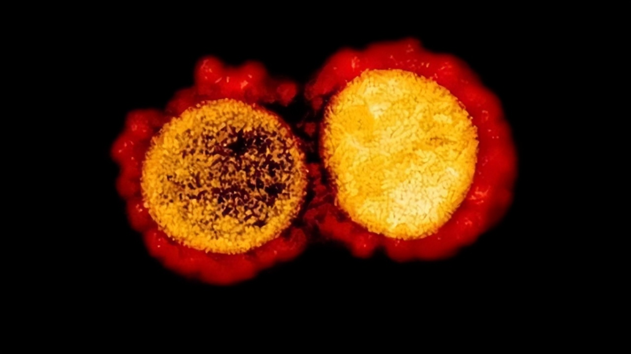 广州:已逐步摸索出围堵变异毒株策略(广州变异株毒力强)