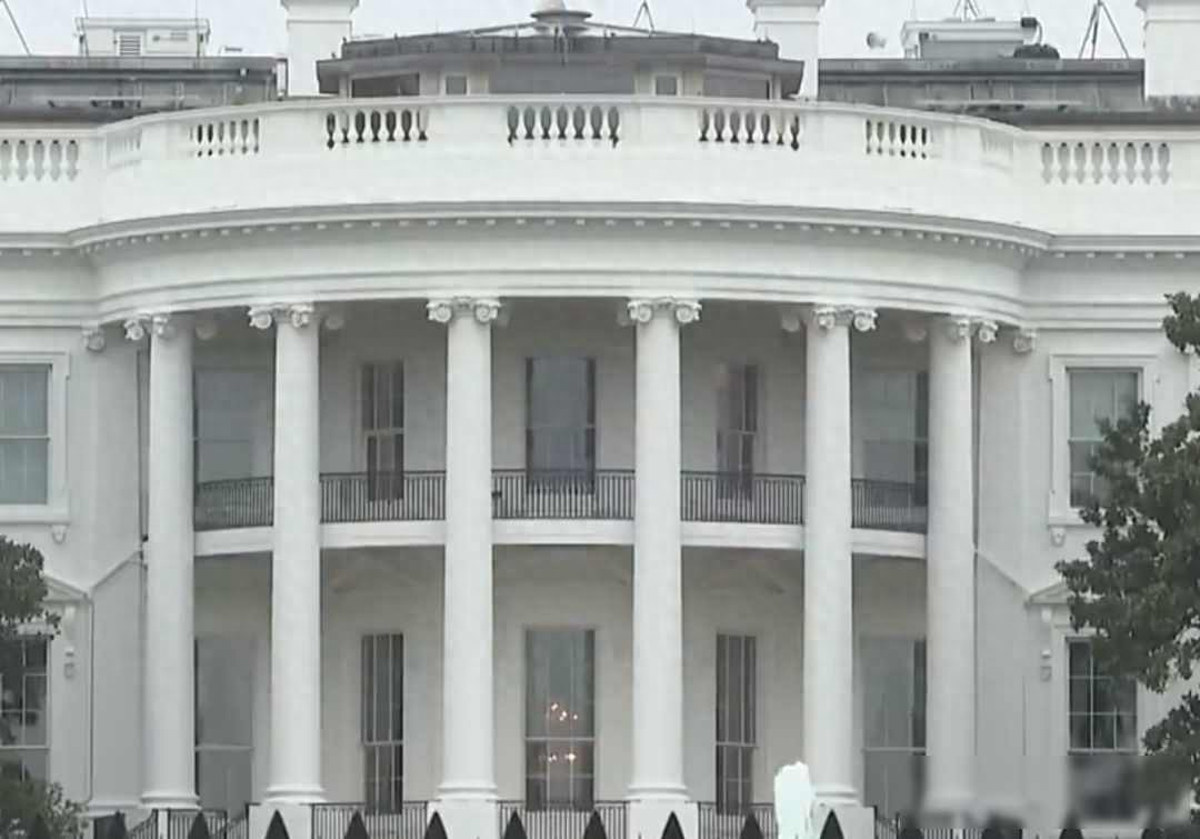 【美国部分疫情数据从疾控中心网站删除/美国疫情数据表】