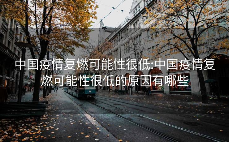 中国疫情复燃可能性很低:中国疫情复燃可能性很低的原因有哪些