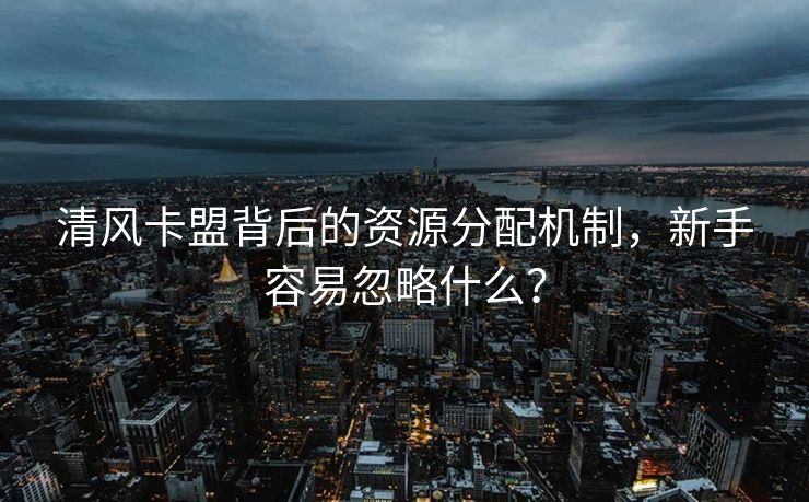 清风卡盟背后的资源分配机制，新手容易忽略什么？