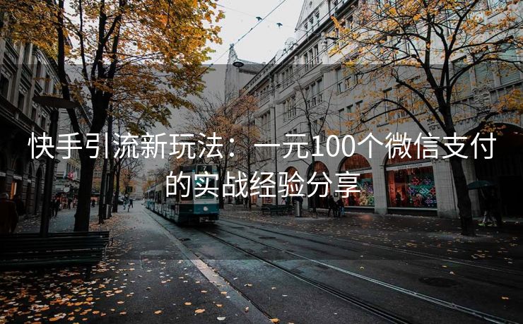 快手引流新玩法:一元100个微信支付的实战经验分享