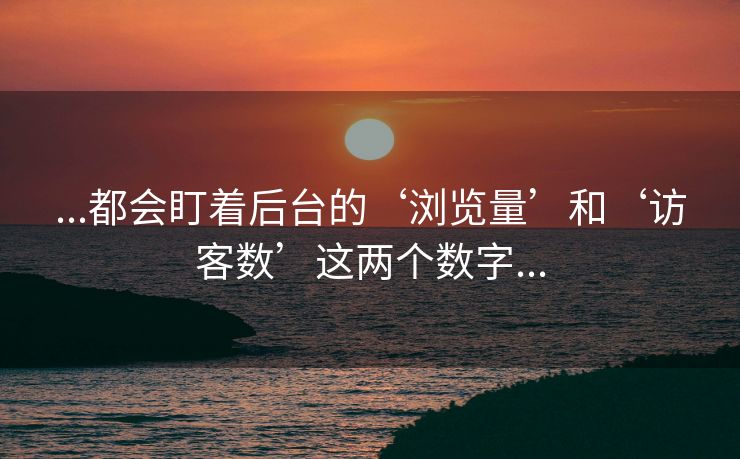 ...都会盯着后台的‘浏览量’和‘访客数’这两个数字...