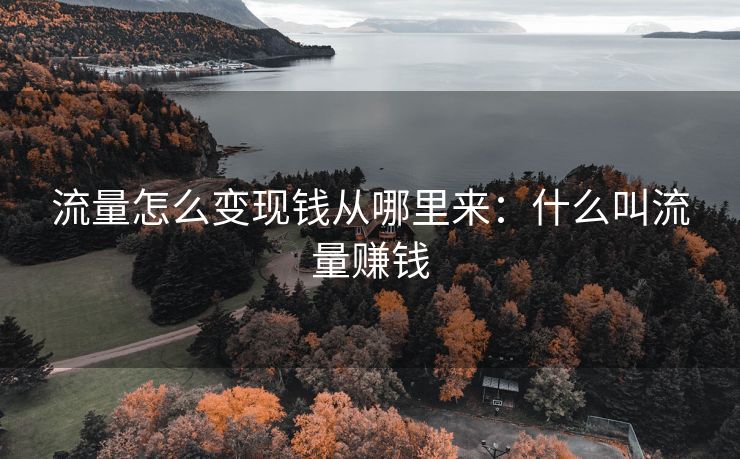 流量怎么变现钱从哪里来:什么叫流量赚钱