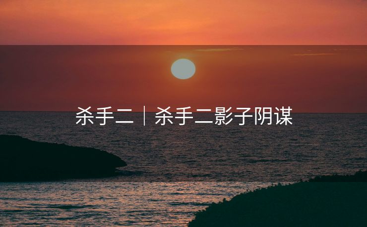 杀手二|杀手二影子阴谋