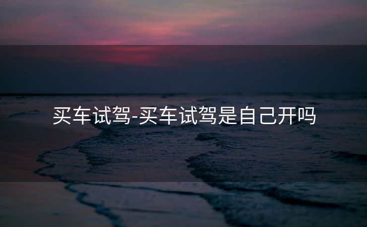 买车试驾-买车试驾是自己开吗