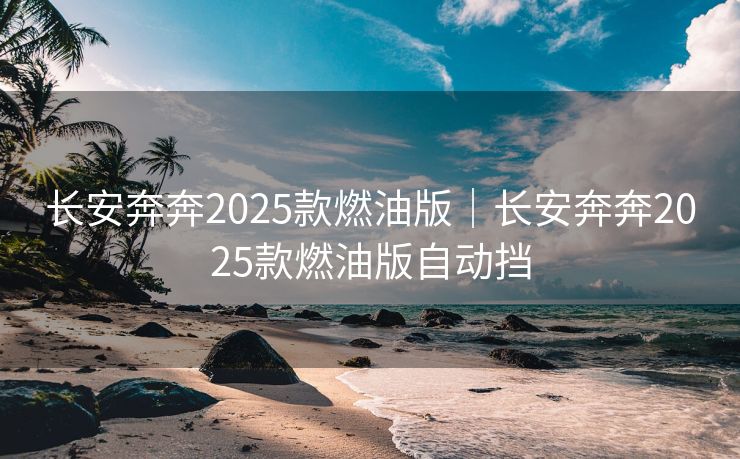 长安奔奔2025款燃油版｜长安奔奔2025款燃油版自动挡