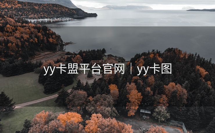 yy卡盟平台官网｜yy卡图